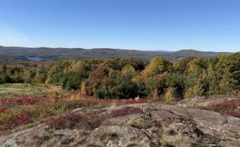 Lincolnville