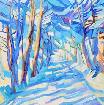 snowy trail through forest