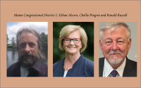 Congressional District 1 race