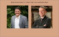 Maine Senate District 11