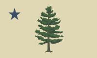 state flag winner 2024