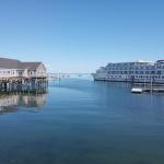 (Photo by Sarah Thompson)