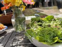 Lunch on the terrace with a beautiful salad and a Four Season Farm green house bouquet-