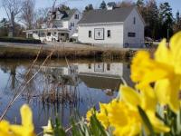 Spring in Southport