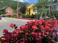 Grow better, eat local, meet friends and neighbors, do something new