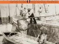 Working the Sea book cover