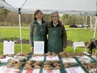 No Weather Stops a Good Plants Sale