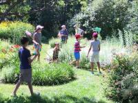 Merryspring Nature Center will host its annual Bug Safari as part of its Free Family Fridays series on Friday, August 14 at 10:00 am.