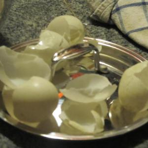 food, maine, ladleah dunn, sailor's rest farm