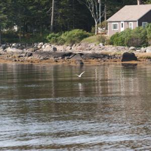 Drift Inn Beach