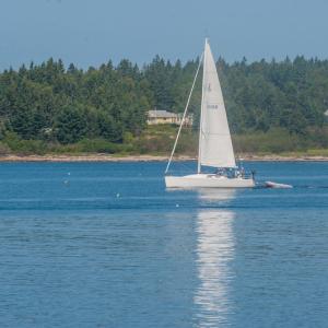 Sail Boat