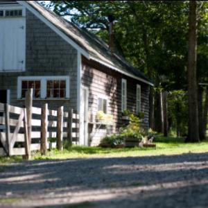 Aldemere farm