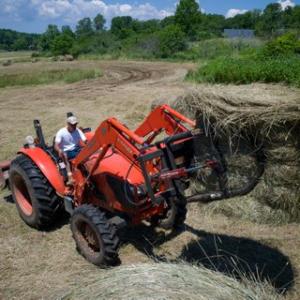 Haying in Camden on the Rokes Farm. (Photo by Devon Altobello)