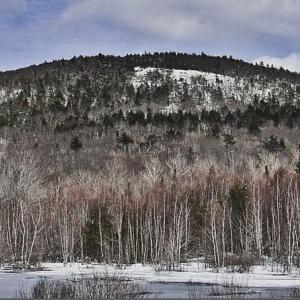 The Hart Property encompasses the center of the western slopes of Ragged Mountain. (Photo by Mark Wallack)
