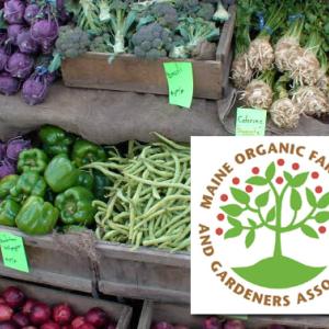 There are three weekly farmers' markets operating this winter in Knox and Waldo counties, in the towns of Rockport, Washington and Lincolnville. (Photo courtesy MOFGA.org)