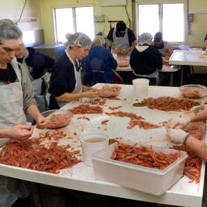 Workers shell shrimp at Maine Maritime Products — The affiliate of Massachusetts-based Ipswich Maritime Products opened in Belfast three years ago as a distribution center, but has gradually added seafood processing and is now seeking a $500,000 grant to expand the processing side of the business. (Photo by Ethan Andrews)