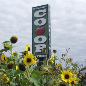 Co-op 