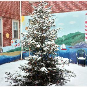 BELFAST - A Christmas tree in the courtyard of Waldo County District Court. (Photo by Ethan Andrews)