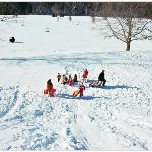 NORTHPORT - Sledders at the Northport Golf Club disperse after converging on a boy who had the wind knocked out of him after going over a small jump. (Photo by Ethan Andrews)