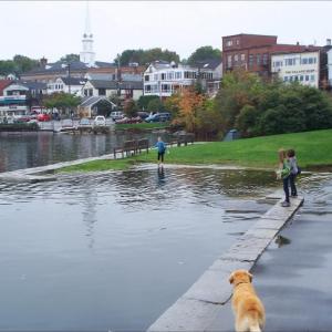 The Camden Harbor, at a flood tide. The Public Landing is one of the areas targeted for an exploratory redesign by TY Lin International. (Photo by Lynda Clancy)