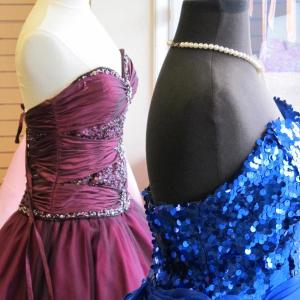 Cinderella Project of Maine
