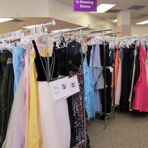 Cinderella Project of Maine