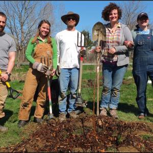 Jesse Bartke; Moriah Salter, cofounder ReTreeUS; Richard Hodges, cofounder ReTreeUS; Genna Chichello; and Teisha Jones, from the Good Turn Co-op. (Photo by Chris Wolf)