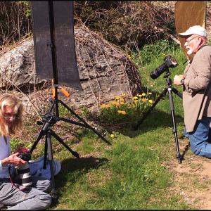 Cynthia MacDonald and Dennis Steinauer photograph dandelions for the Kansas to Oz class. (Photo by Chris Wolf)