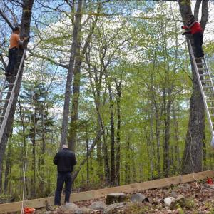 Camden firefighters Eric Verite and Andrew Lowe climb the ladders, while Chief Chris Farley, Cheyne Hansen and Camden First Aid's Brian Allen prepare to hoist the beam into place high in the trees. Competitors in the first-ever Run For Your Life obstacle course race will be climbing ropes to the top of the beam. (Photos by Lynda Clancy)