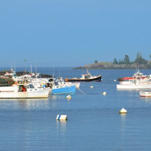 Owls Head Harbor on a July evening. (Photo by Lynda Clancy)