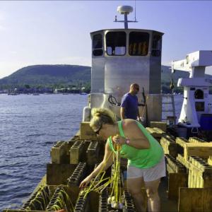 Jeremy and Shannon Hay, husband and wife, set up fireworks on a barge in Camden Harbor, near Curtis Island, for the July 4, 2013 birthday celebration of the United States. (Photo by Lynda Clancy)