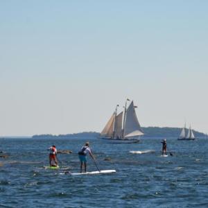 The first annual Lobster SUP Cup sent 30 stand-up paddle boarders from Rockport to Belfast on a beautiful August weekend. (Photo by Lynda Clancy)