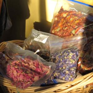 Dulse & Rugosa