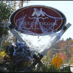 The entrance to the Megunticook Campground