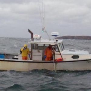 Matt Weber lobstering on his F/V Seldom Seen. (Courtesy Monhegan Brewing Company)