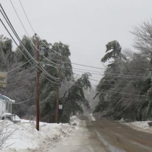 A tree branch sits on power lines near the intersection of Back Belmont Road and Route 52 in Belfast.