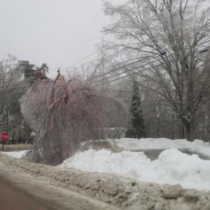A tree bough sits on power lines at the intersection of Back Belmont Road and Route 52 in Belfast. 