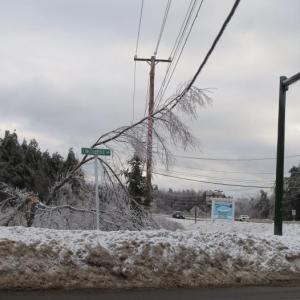 Another branch lays on a power line at the intersection of Lincolnville Avenue and Route 1 in Belfast. 