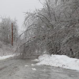 Trees create icicle curtains across Eagle Drive in Northport.
