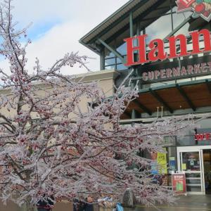 Belfast Hannaford.