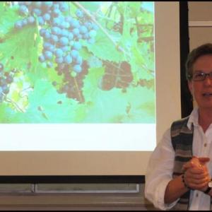 Cheryl Denz, of Terra Optima Farm.
