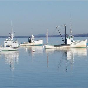 Lincolnville Beach harbor, on a calm summer afternoon. (Photo by Lynda Clancy)