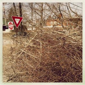 Massive brush piles have become a common sight around Belfast during the past week. Cleaning them up is expected to take longer than usual. (Photo by Ethan Andrews)