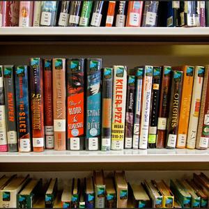 “Killer Pizza” and “Lips Touch” have replaced “Harry the Dirty Dog” and “Don’t Let the Pigeon Drive the Bus” in the Belfast Free Library’s new second-floor teen space. (Photo by Ethan Andrews)