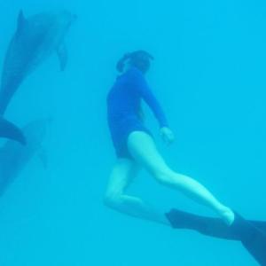 Swimming with wild dolphins off of the Bahamian island of Bimini in mid-April. The dolphins will swim with humans, if it fits their schedule on a given particular day. (Photo by Sue Armstrong)