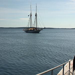 Guests arrive on the dock at Marshall Island, home of Maine Coast Heritage Trust’s Ed Woodsum Preserve. (Photo by Holly S. Edwards)