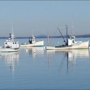 Lincolnville Harbor on a calm summer afternoon. (Photo by Lynda Clancy)