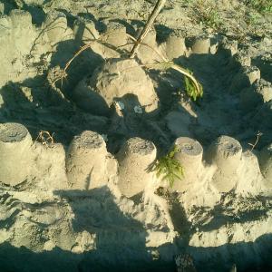 sand castle