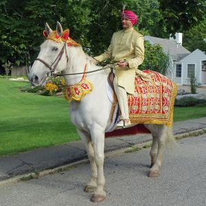 Johann, the groom, prepares to meet the family of his bride, Yasmin, walking in a procession on a white horse. (Photo by Richard Anderson)