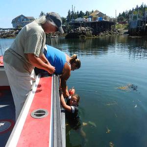 Volunteer Emily Murray is in the water, playing the victim, and lobster catcher Samantha Philbrook — who is a good deal taller than Emily and as strong as anybody — worked to pull her back aboard Robert Young's boat without Emily doing anything to help (simulating a very cold person.) (Photo by Eva Murray)